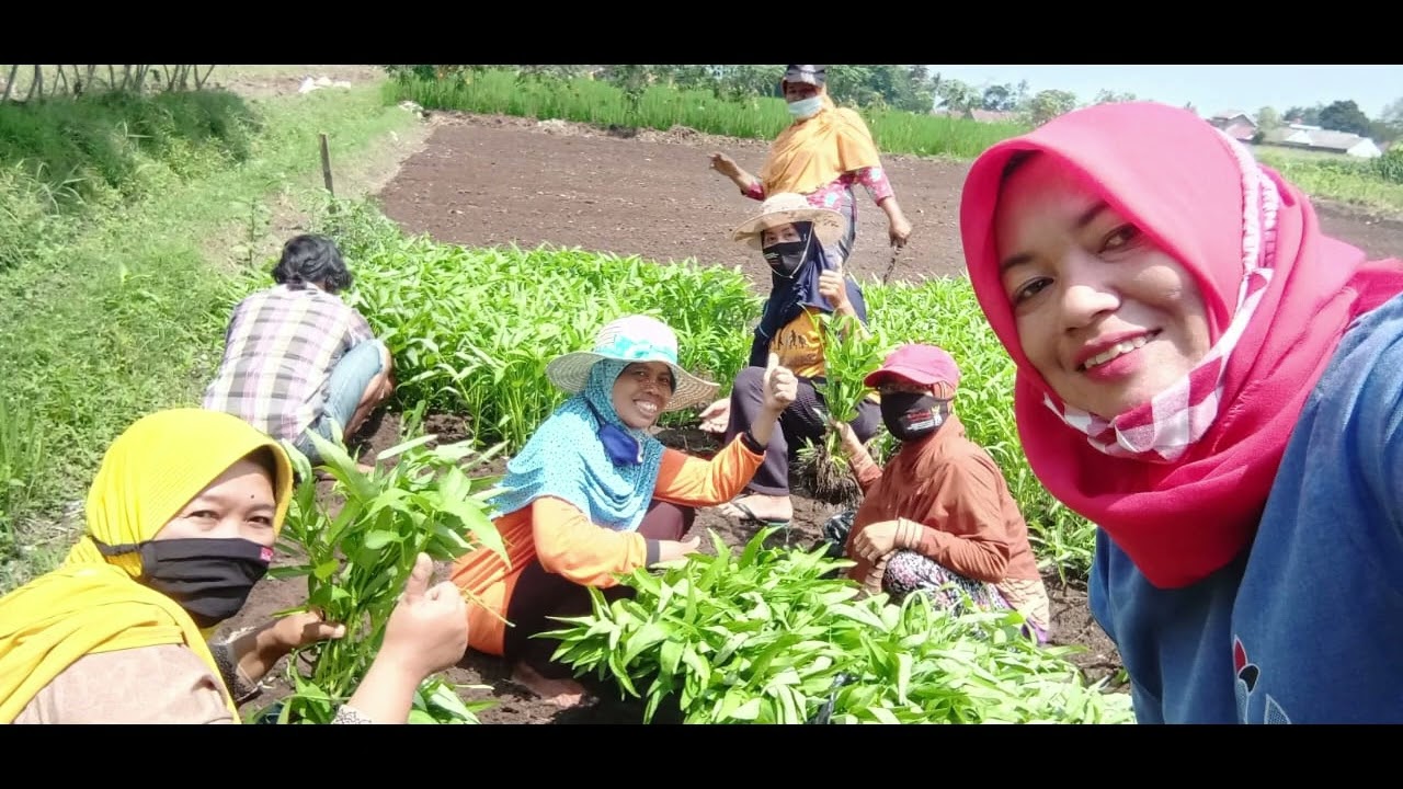 Inovasi Kader Posyandu Berprestasi Kab. Klaten Tahun 2025