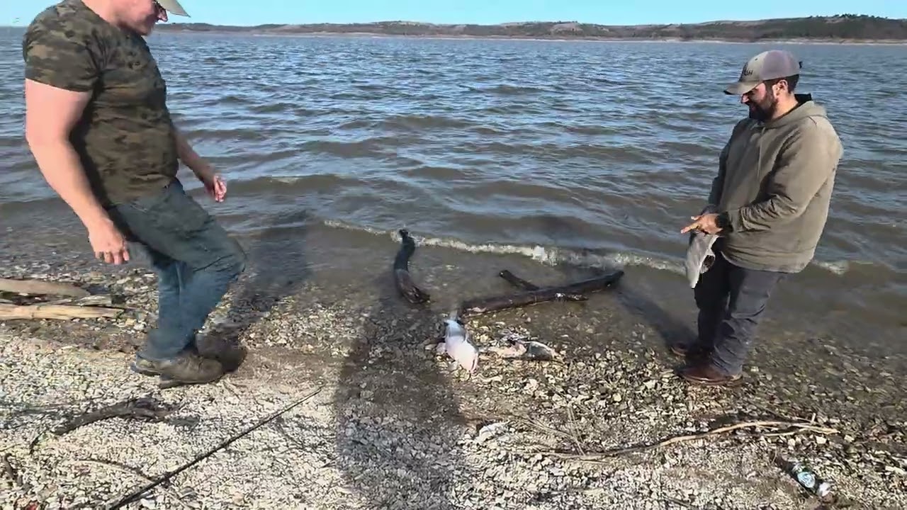 Kansas fishing Tuttle Creek 