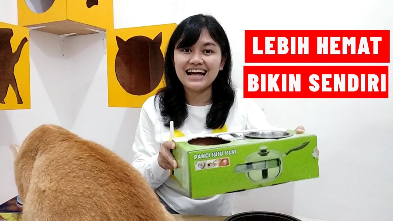 DIY MEMBUAT DUDUKAN TEMPAT MAKAN KUCING DARI BARANG BEKAS | MY CATS DIARY