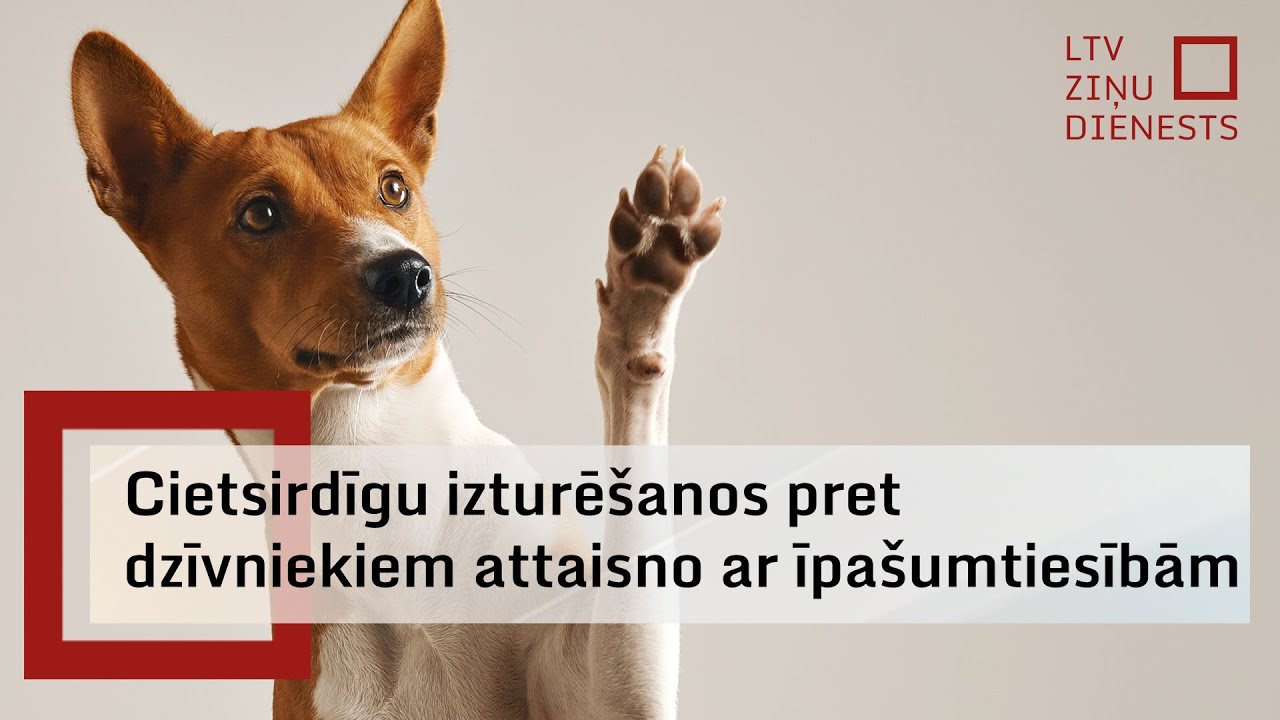 Mājdzīvnieku tiesiskajam regulējumam Latvijā trūkst sistēmiskas pieejas