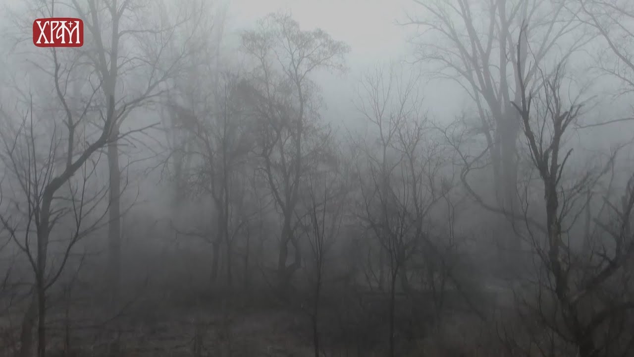 Молитвеник Светог Оца Јустина - Молитва у тузи душевној