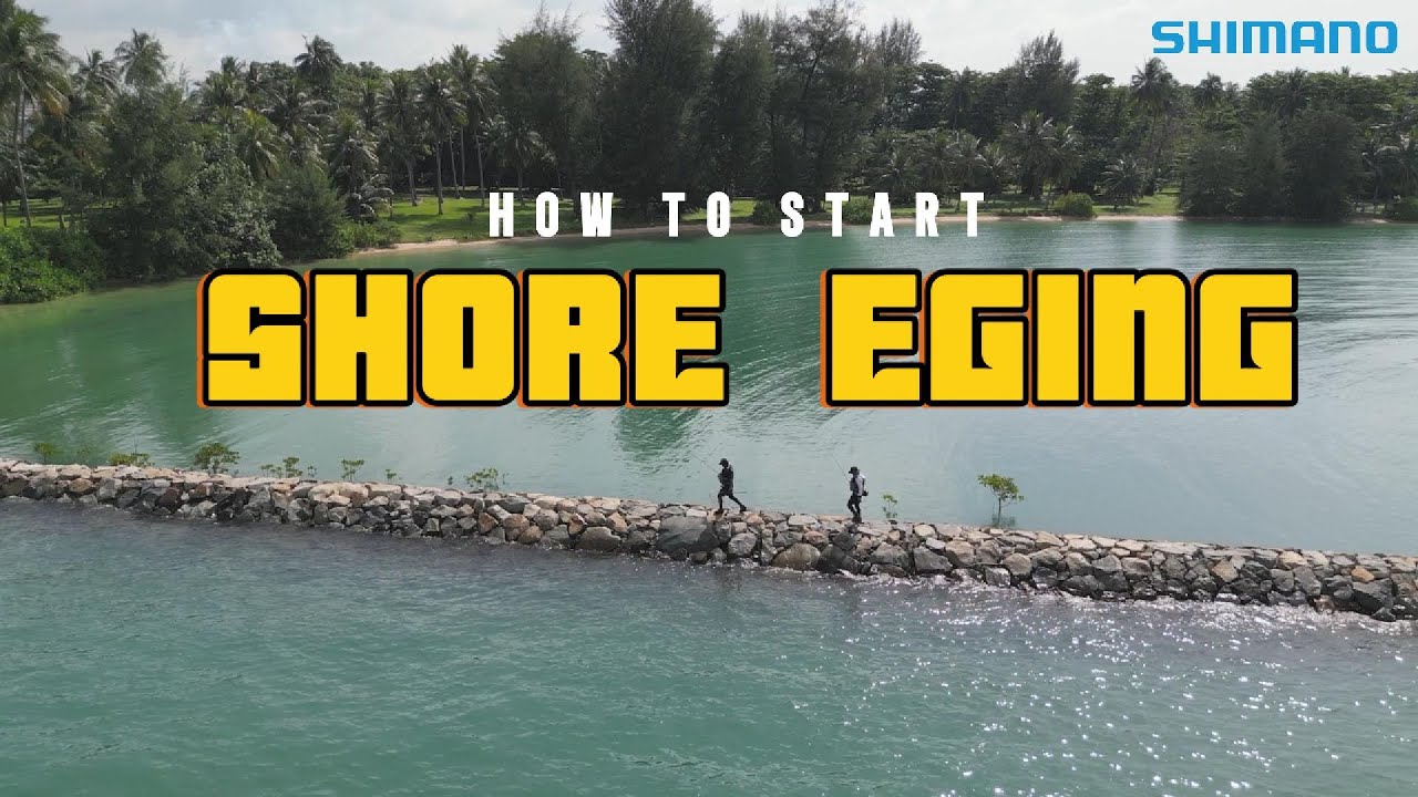 How to Start Shore Eging | Shore Eging at Pulau Hantu, Singapore