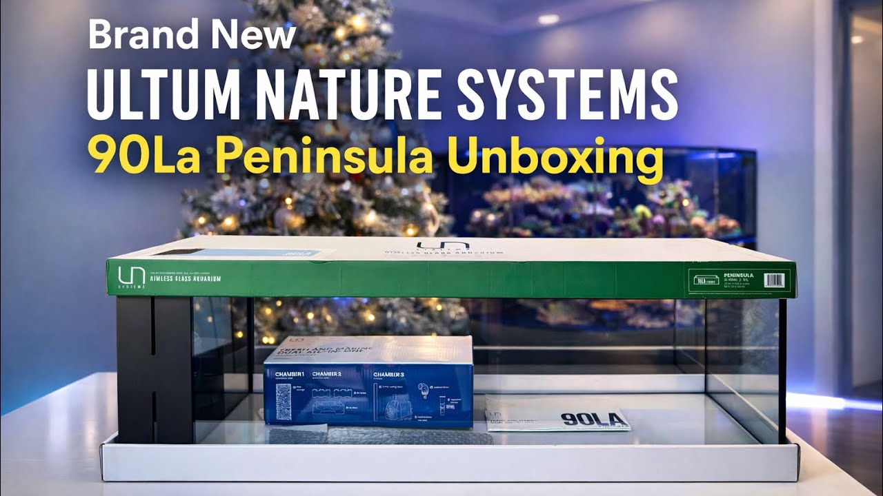 Распаковка полуострова Ultum Nature Systems 90LA - Нано-рифовый аквариум UNS 90LA