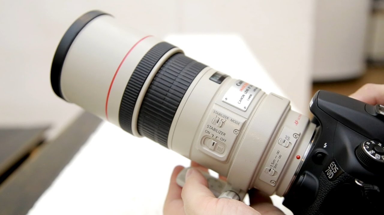 Обзор объектива Canon 300mm f/4 IS USM 'L' с примерами (полнокадровый и APS-C)
