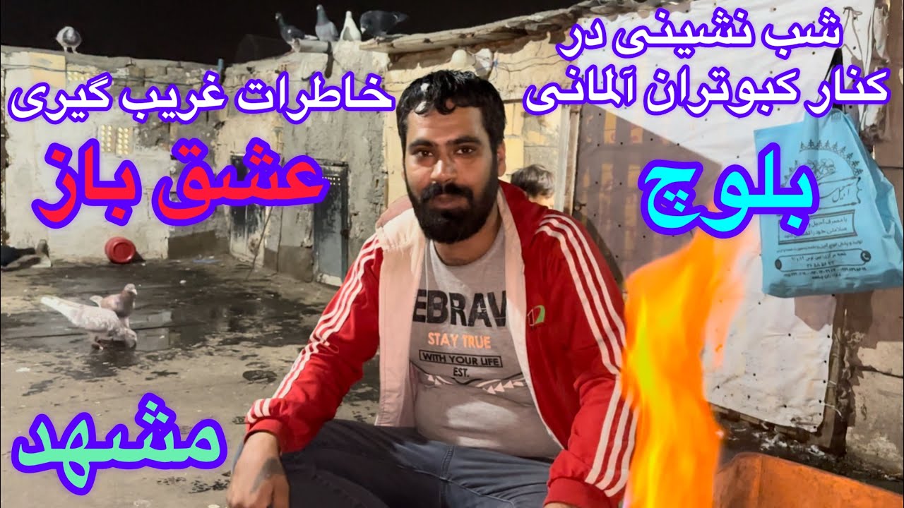 (قسمت۱۳۹)شب نشینی و خاطرات غریب گیری کبوتر در کنار کبوتران آلمانی عشق باز از سیستان بلوچستان درمشهد
