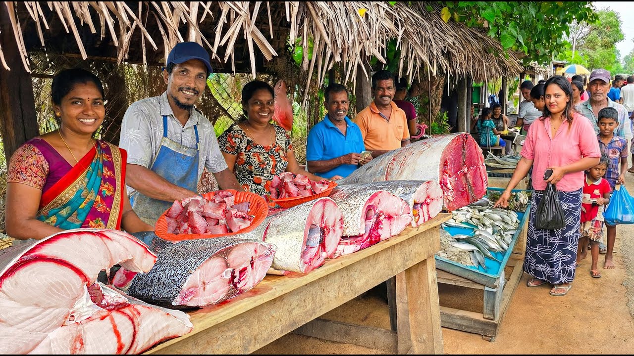 Wow! Sri Lanka Village Fish Market The Stories Behind the Fishermen’s Hands