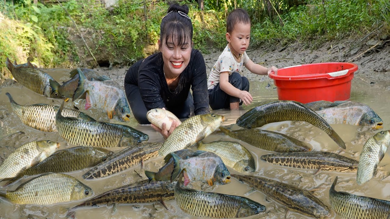 Single mom and her son went to drain an abandoned pond, caught many kinds of big fish, go sell