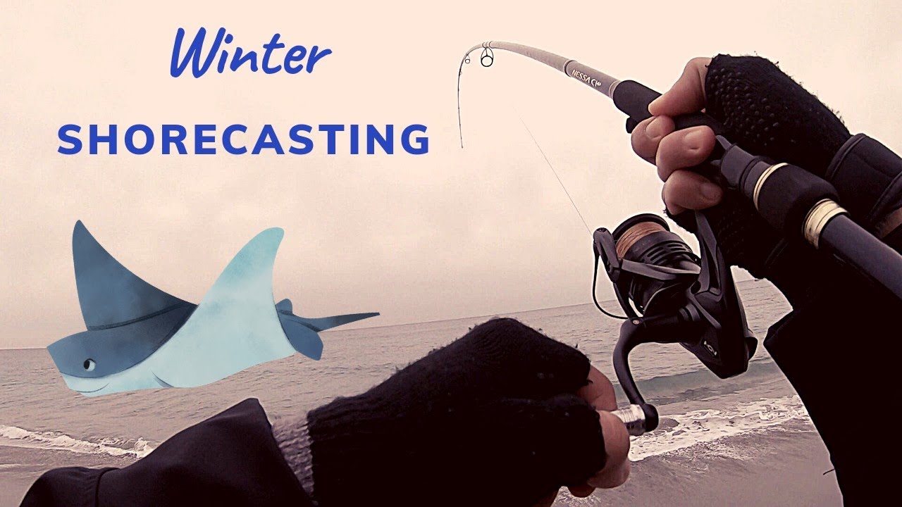 Winter Surfishing in Japan