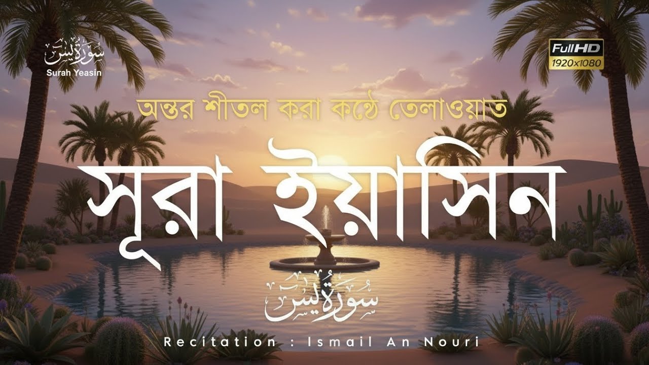 চোখ বন্ধ করে অনুভব করুন 🤍 হৃদয় ছুঁয়ে যাওয়া সূরা ইয়াসিন তিলাওয়াত | Ismail An Nouri