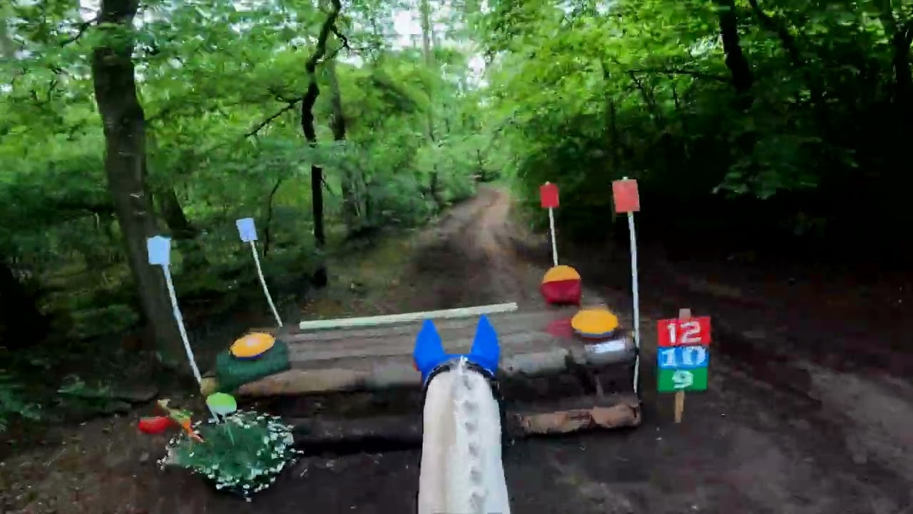 SGW Markelo Potdijk 2024 klasse L paarden