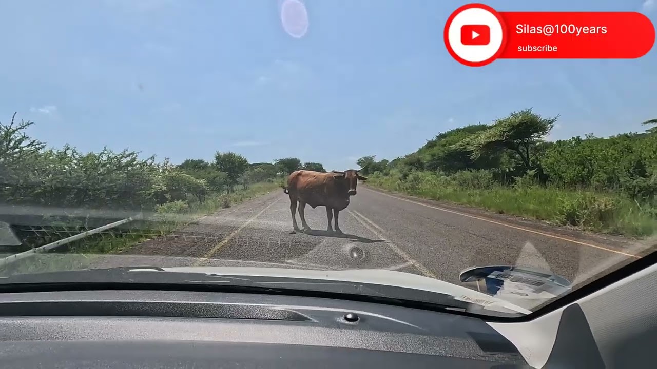 Vryheid to Nongoma drive ||The scenes are just beautiful || You will love South Africa 🇿🇦