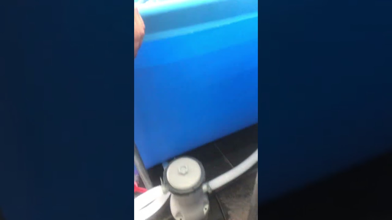 Bomba best con barrefondo
