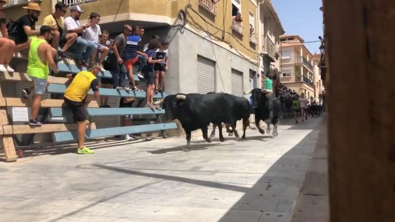 Encierro de Blanca. Primer Encierro Feria y Fiestas de Agosto 2019
