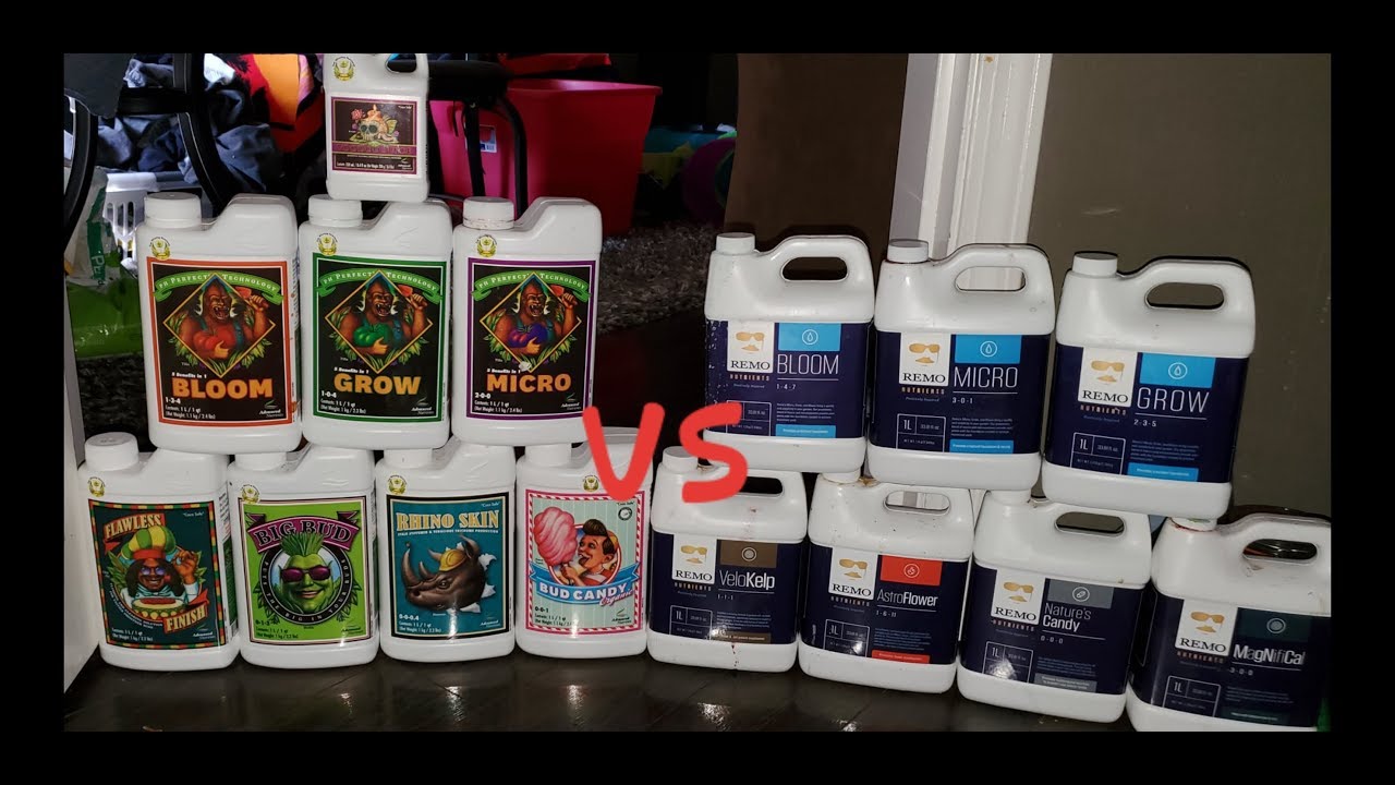 2x2x4 Grow Tent day 25/26 seedling update Remo vs advanced nutrients