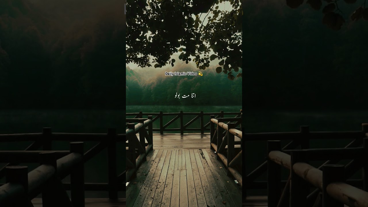 #daily #Islamic #video