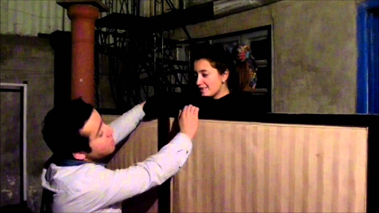 EL CHACOTERO SENTIMENTAL