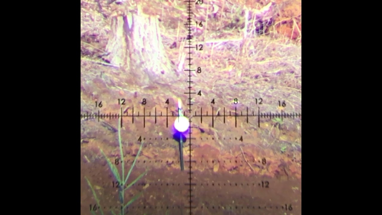 CZ Varmint Precision Trainer MTR  22LR @ 312 Yards