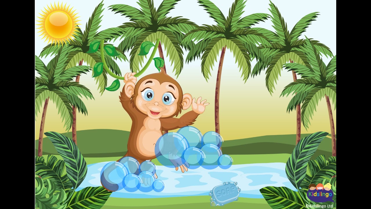 Kidslingo Down in the jungle in Spanish - La selva salvaje