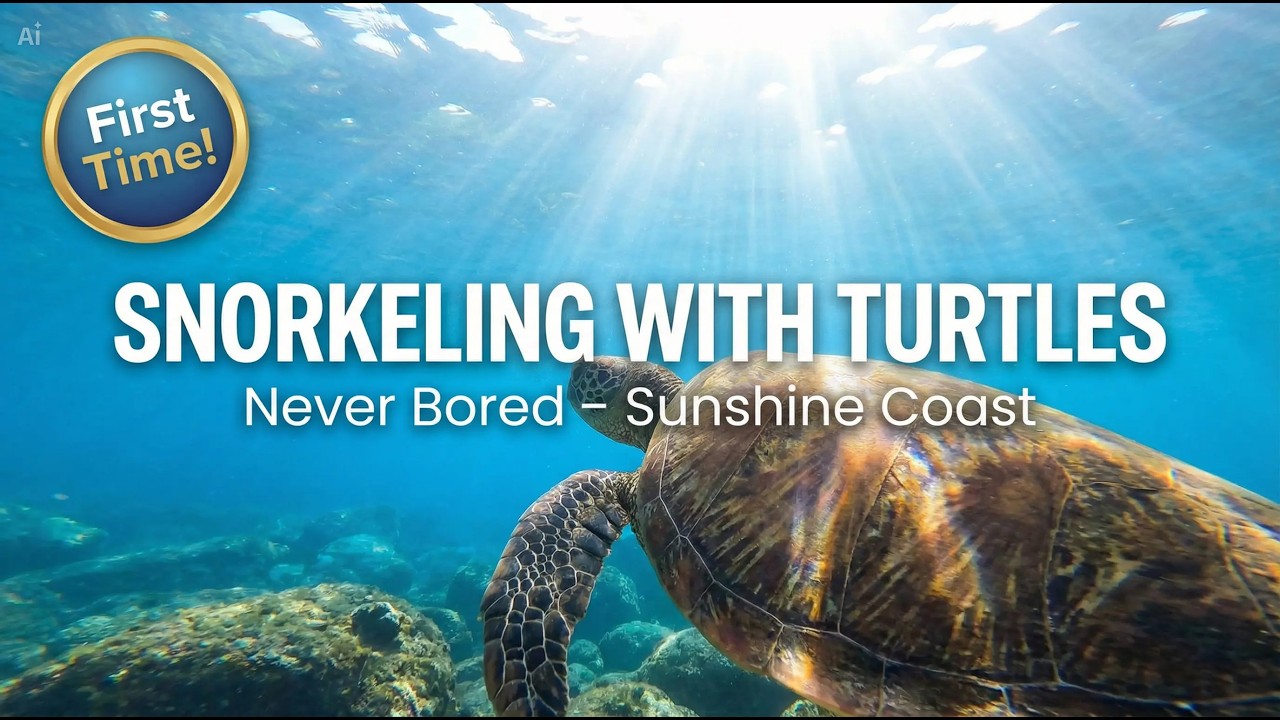 I Was Scared to Snorkel… Then I Found Turtles (Sunshine Coast)