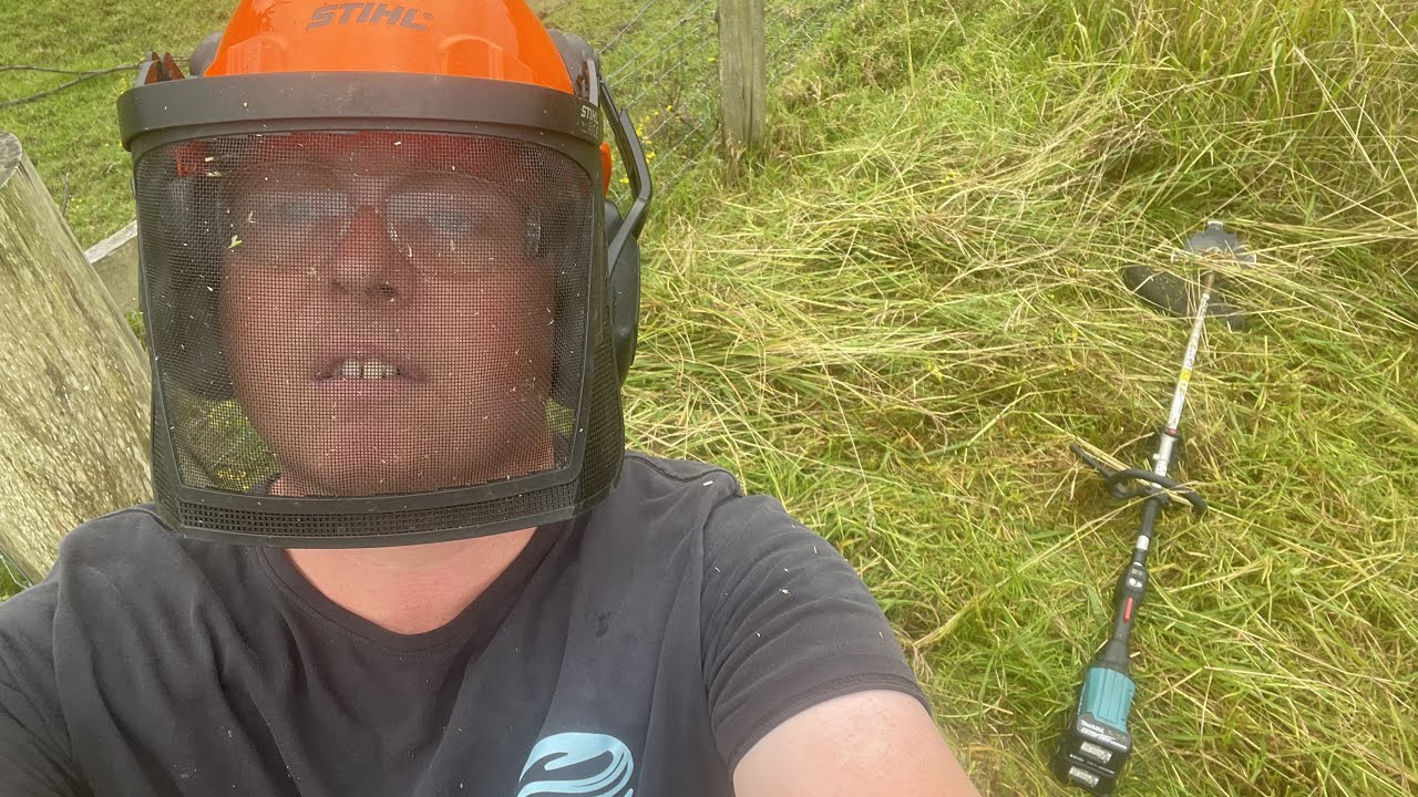A Big Whipper Snipping around the dam