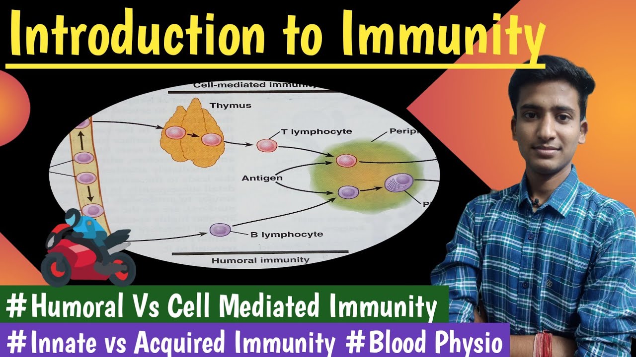 Immunity|| Innate vs Acquired||  Humoral vs cell mediated|| Blood Physio|| Lectures ||hindi|| Ashish