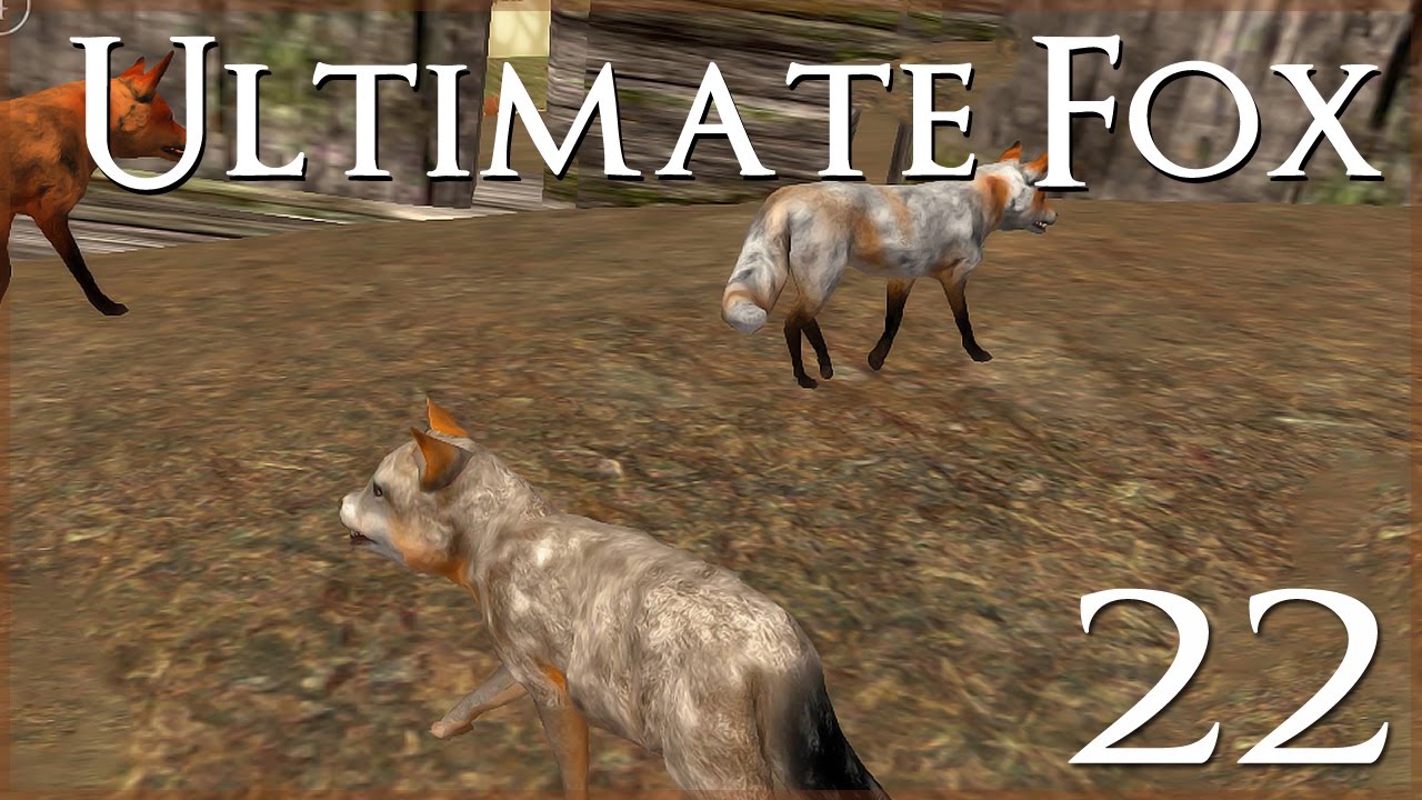 Birth of Thistleclaw's Last Kit!! • Ultimate Fox Simulator - Episode #22 - Season Finale!!