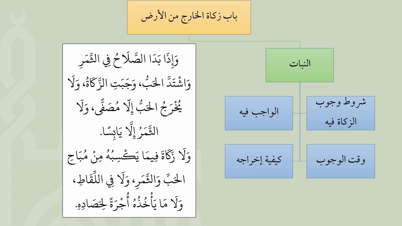 شرح عمدة الفقه كتاب الزكاة 03   الخارج من الأرض  عامر بهجت