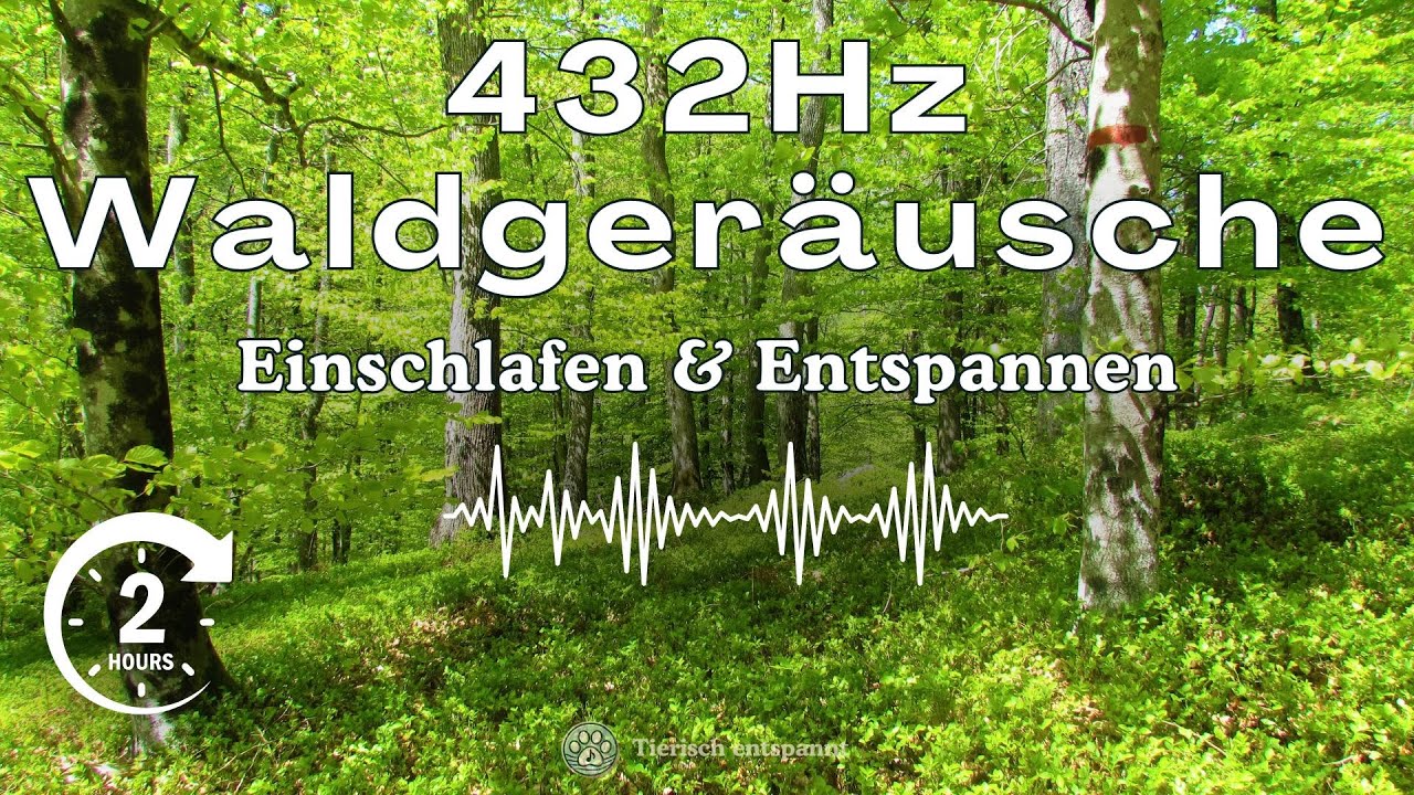 2 Stunden Waldgeräusche in 432Hz – Natürliche Klänge zum Einschlafen, für Meditation & Entspannung