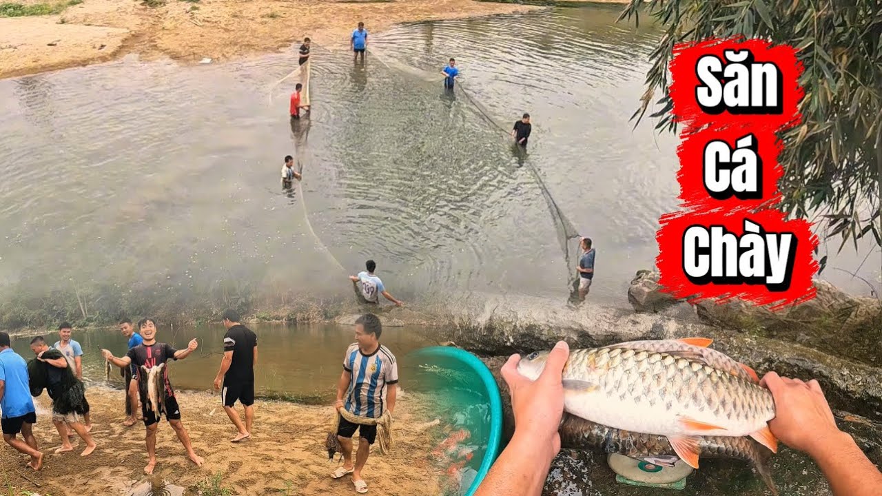 Bắt Cá Chày Kiểu Này – Cả Suối Không Kịp Chạy!