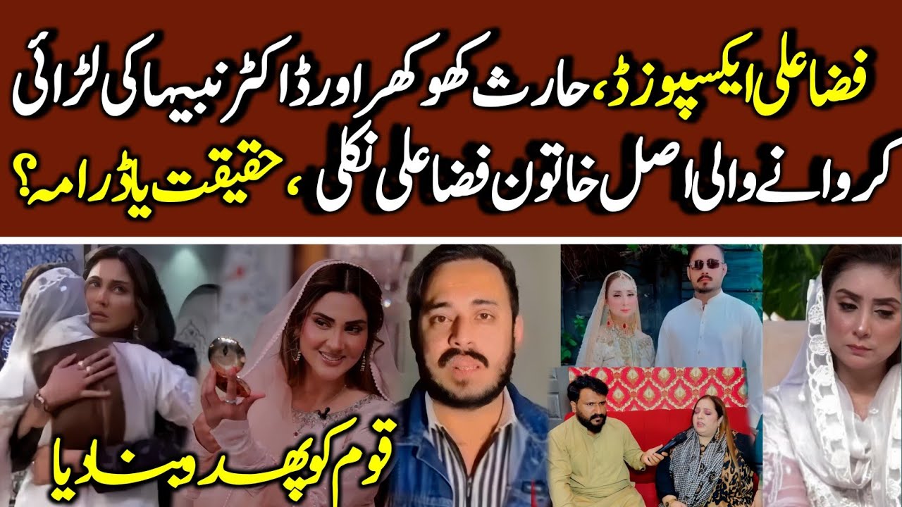 Dr Robi fire on Dr Nabiha , Harris khokhar and Giza Ali fake show || Daily Parwaaz 