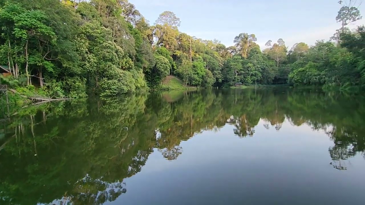 Rainforest Discovery Centre @ Sepilok, Sandakan. Sabah