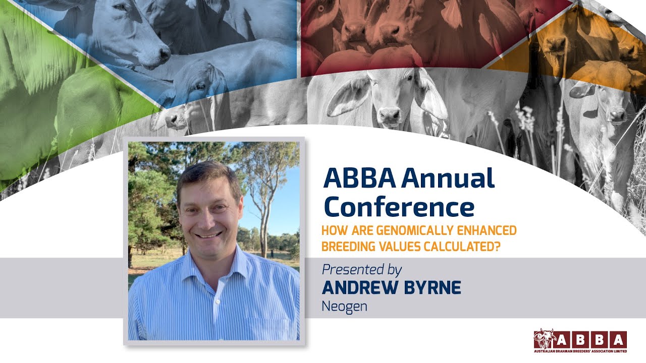 2024 ABBA Conference. 'How are genomically enhanced breeding values calculated'