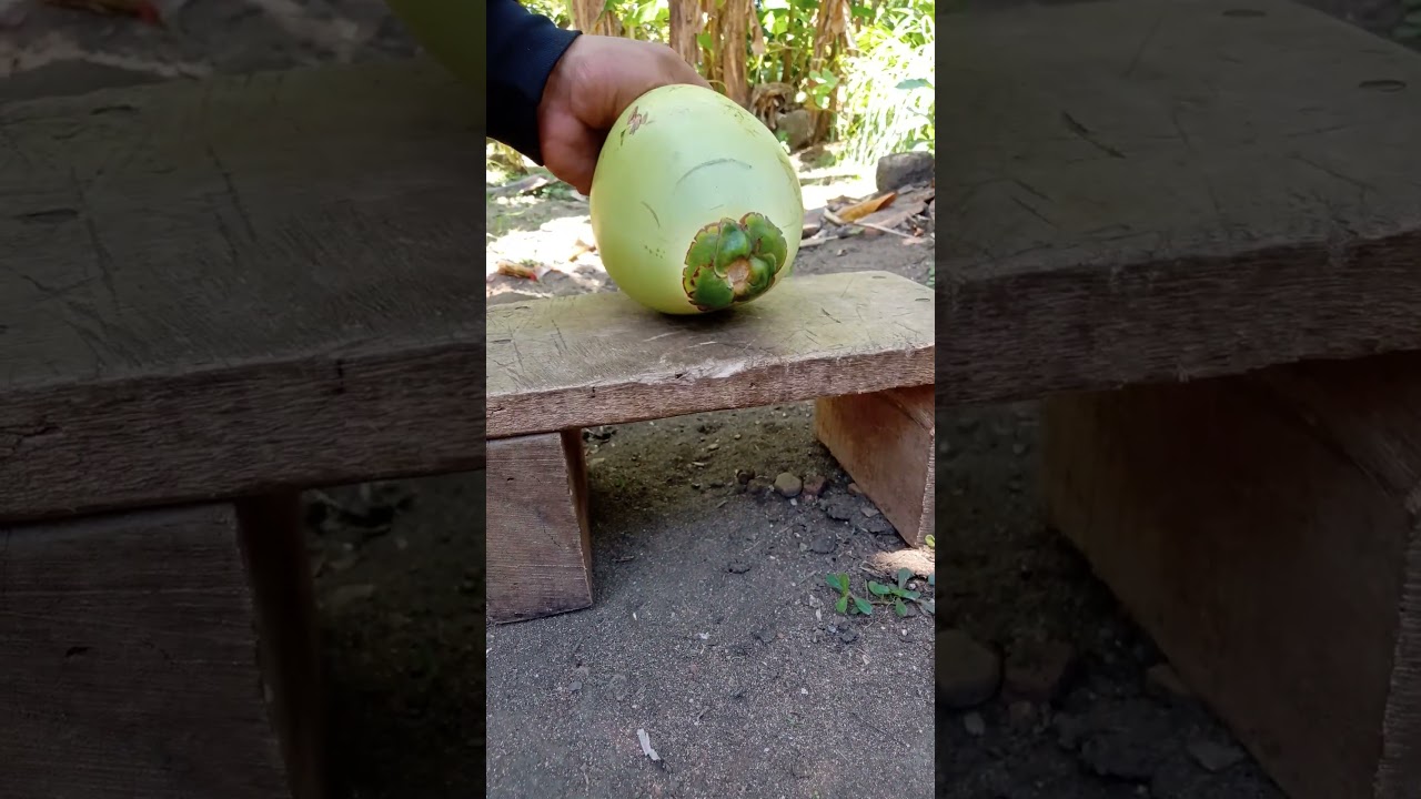 young green coconut#shorts