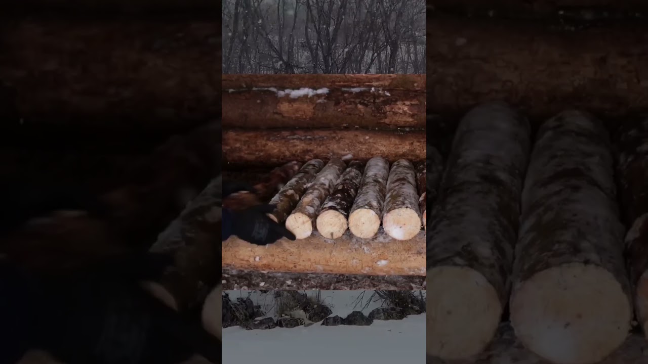 #survival #camping #survivalcamp #oaktree #wood #Enjoy the snow falling clip -2&deg; running