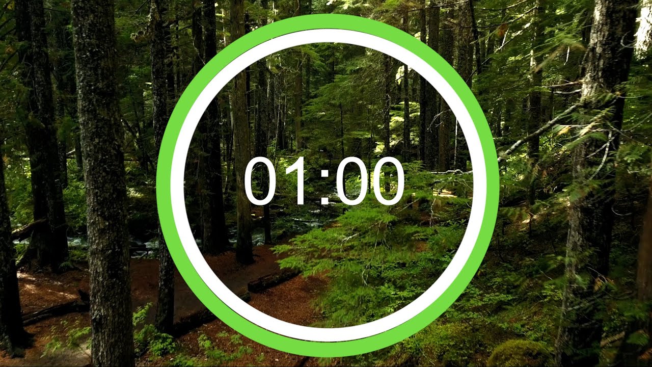 1 Minute Timer with Forest/Nature Background | 1 Minute Forest/Nature Background Countdown Timer