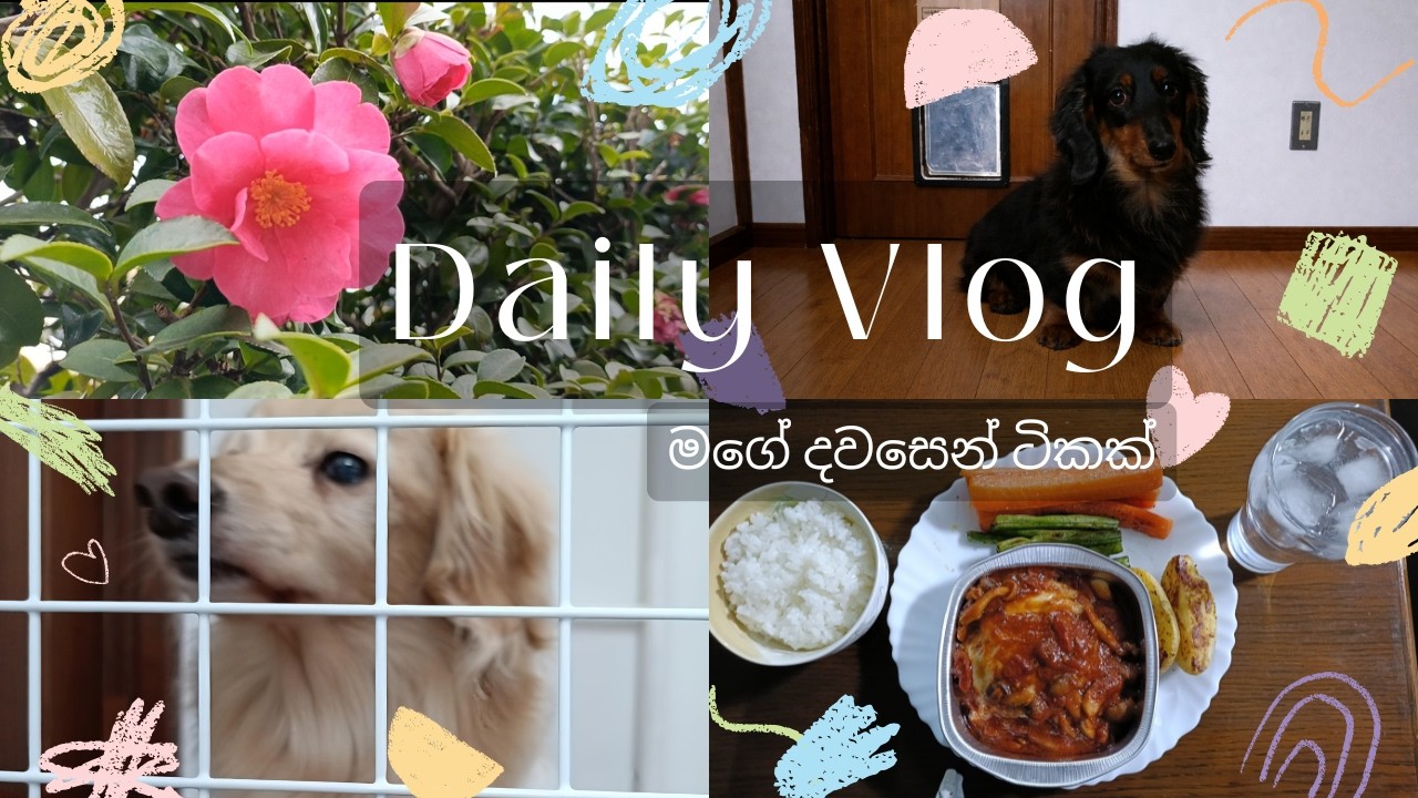 A Day in My Life as a Housewife in Japan| මගේ දවසෙන් ටිකක්