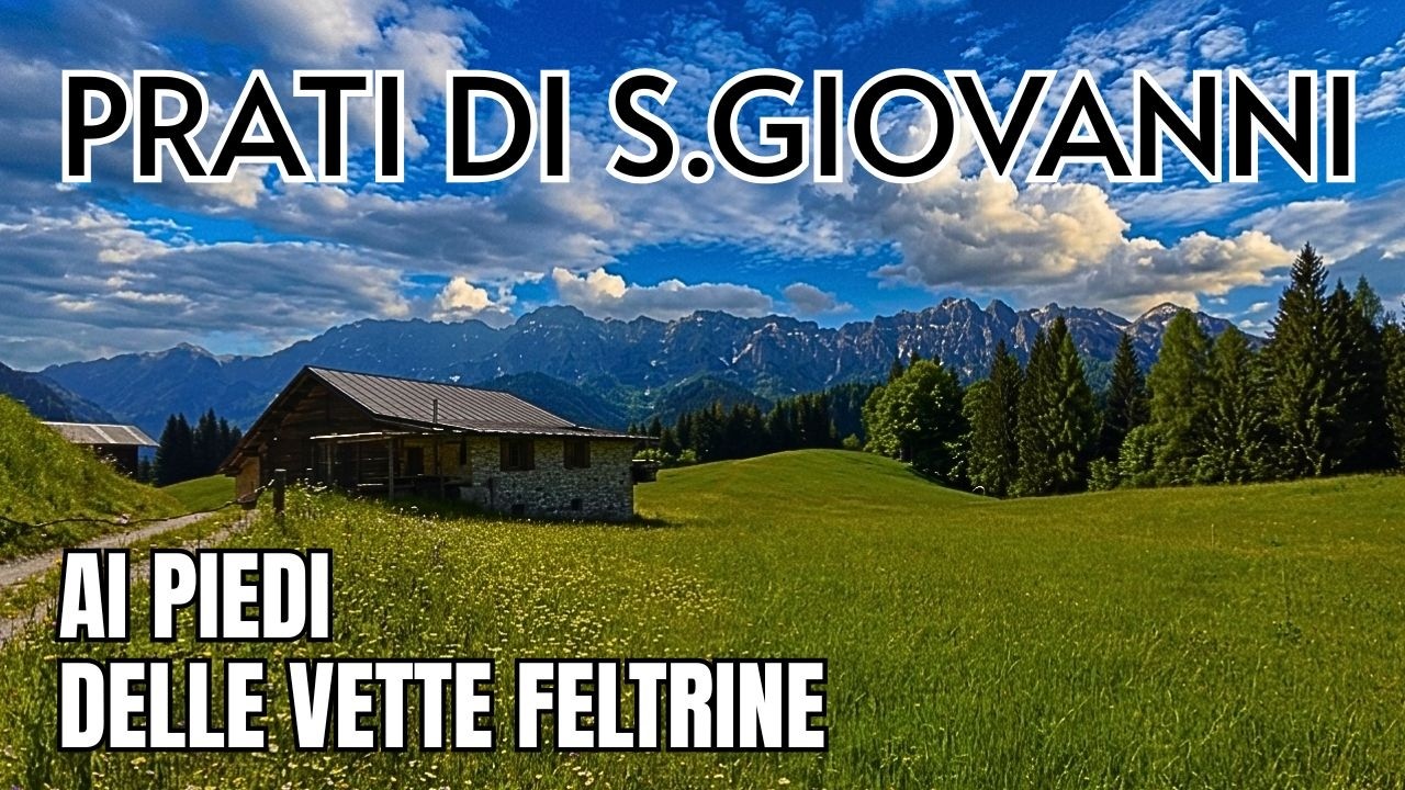 Prati S. Giovanni | Ponte Tibetano Val Noana | Primiero | Trentino | Sentiero degli Abeti Giganti
