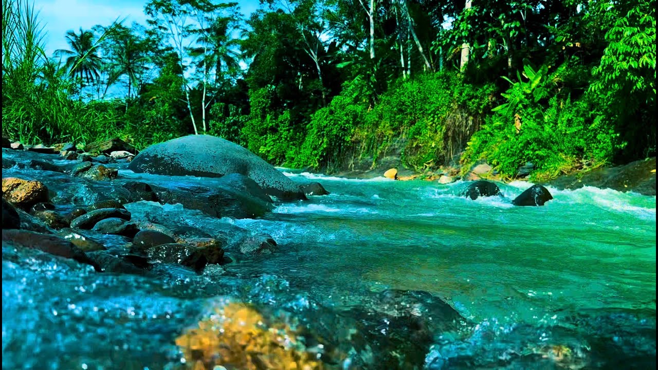 Mountain River Waterfall Flowing 24/7. Water Sounds, Nature White Noise. River Sounds for Sleeping#4