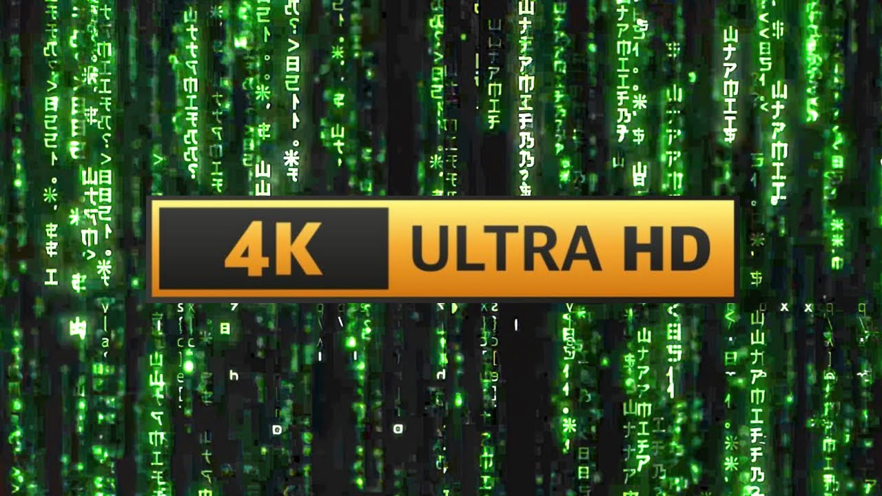 Matrix Screensaver | Rain Code - Longest Video on Youtube