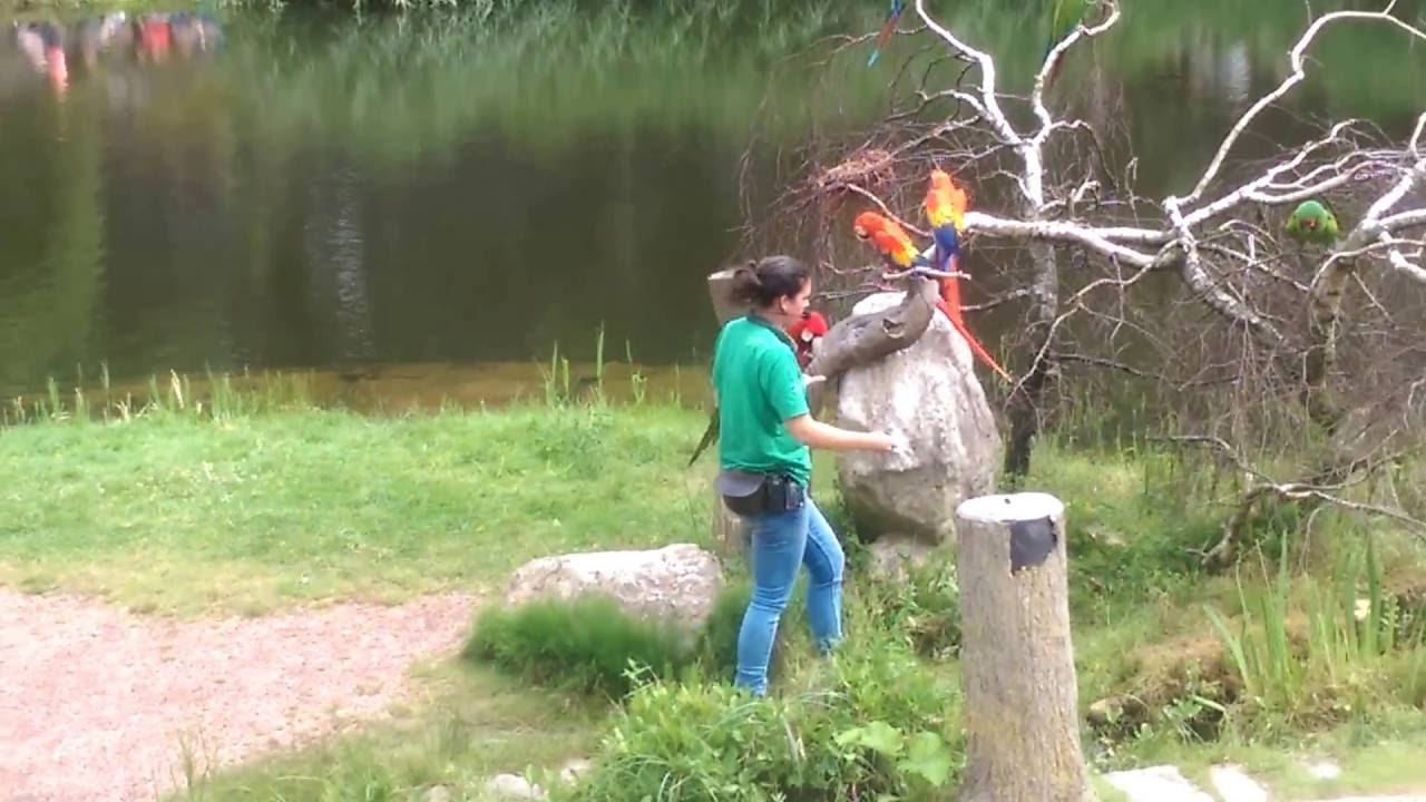 Vlog# 4; dagje avifauna