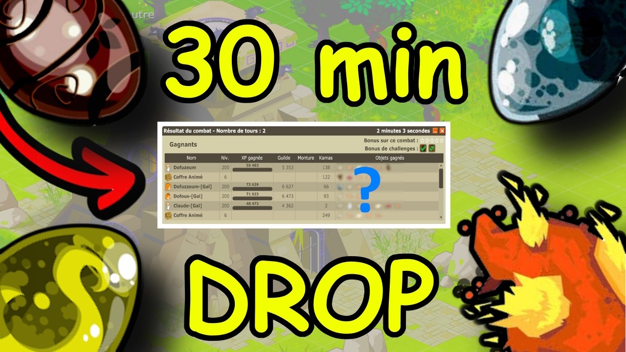 30 MINUTES DE DROP DOFUS ARCHI RENTABLE - DOFUS RETRO