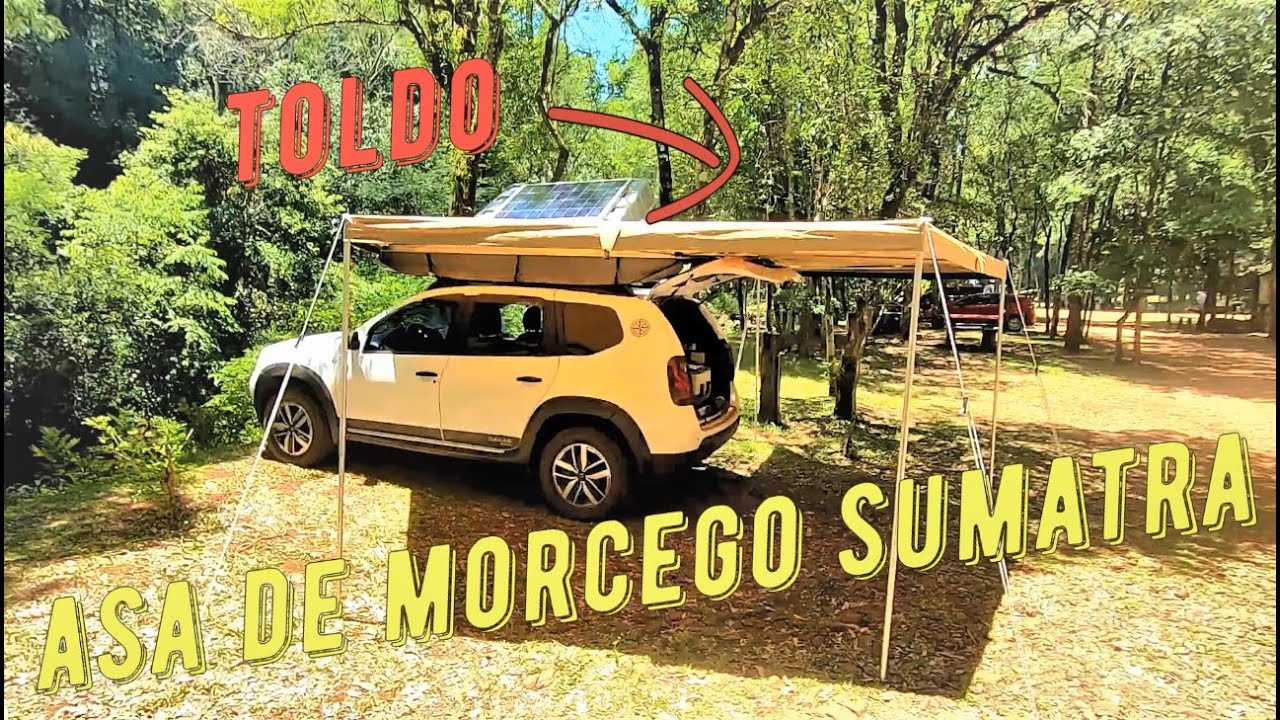 TOLDO ASA DE MORCEGO SUMATRA