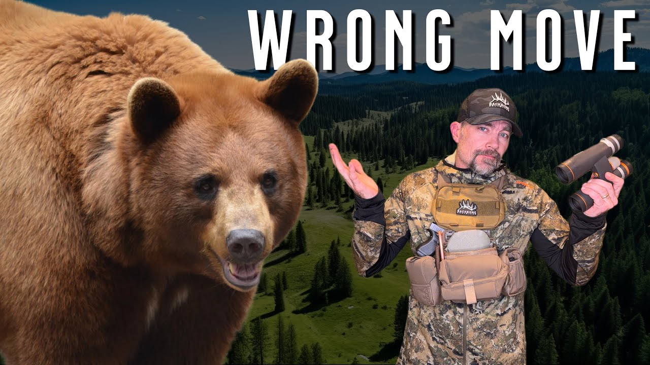 The Best Move After a Black Bear Vanishes Mid-Stalk - Bear Hunting Tips