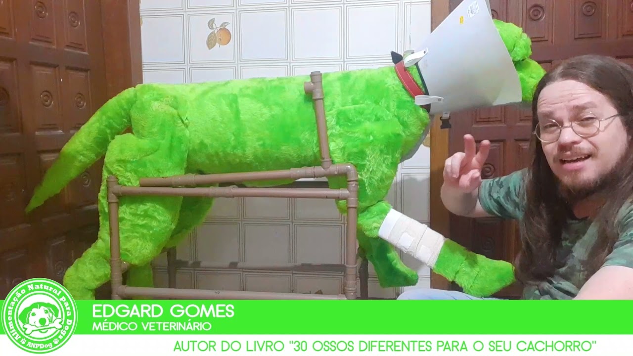 Como fazer para a atadura do Cachorro não sair do lugar! | Dr Edgard Gomes