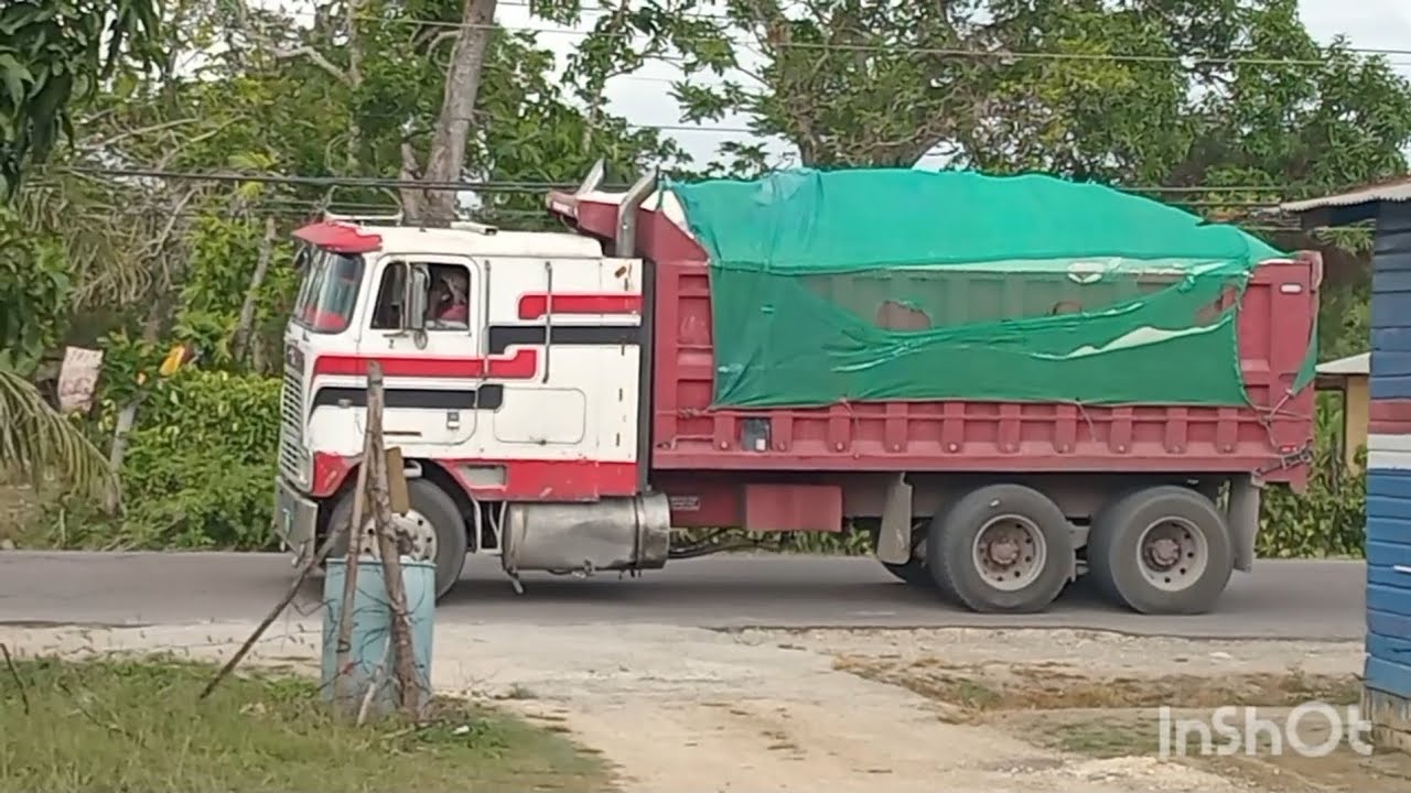 Machine dem active short video 