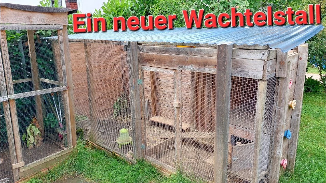 Ein zweiter Wachtelstall entsteht | WachtelWatchTV