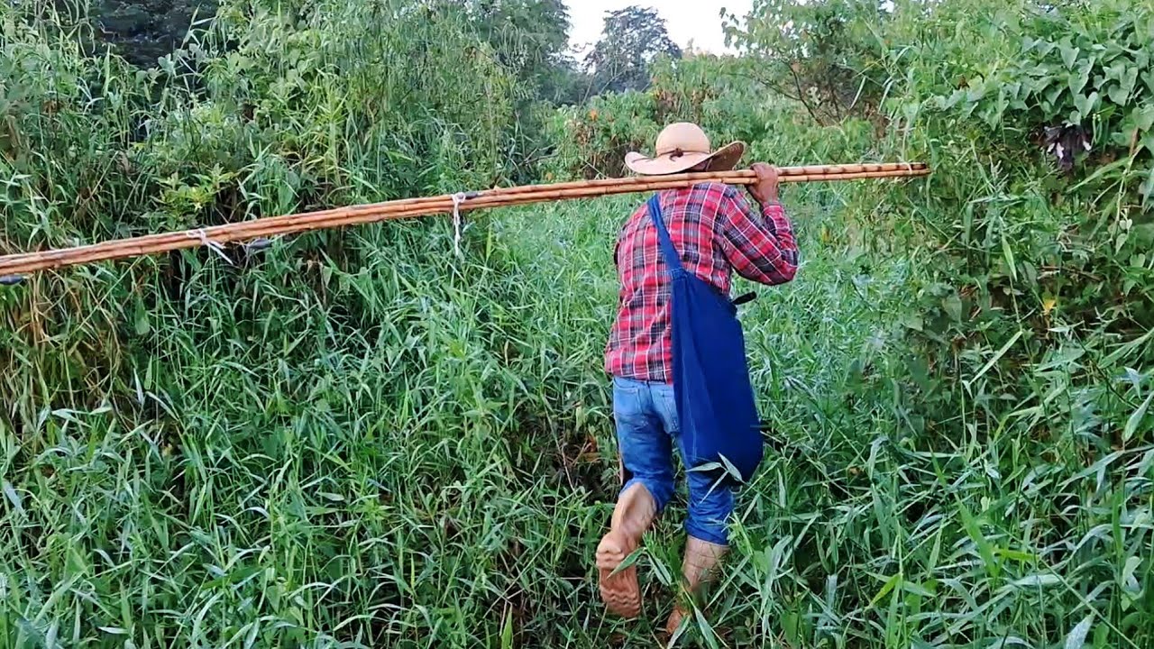 PESCARIA DE BARRANCO , FOMOS AONDE NINGUEM VAI E ACERTAMOS AS BRUTAS , PESCARIA DE TRA&Iacute;RA/PESCA RAIZ