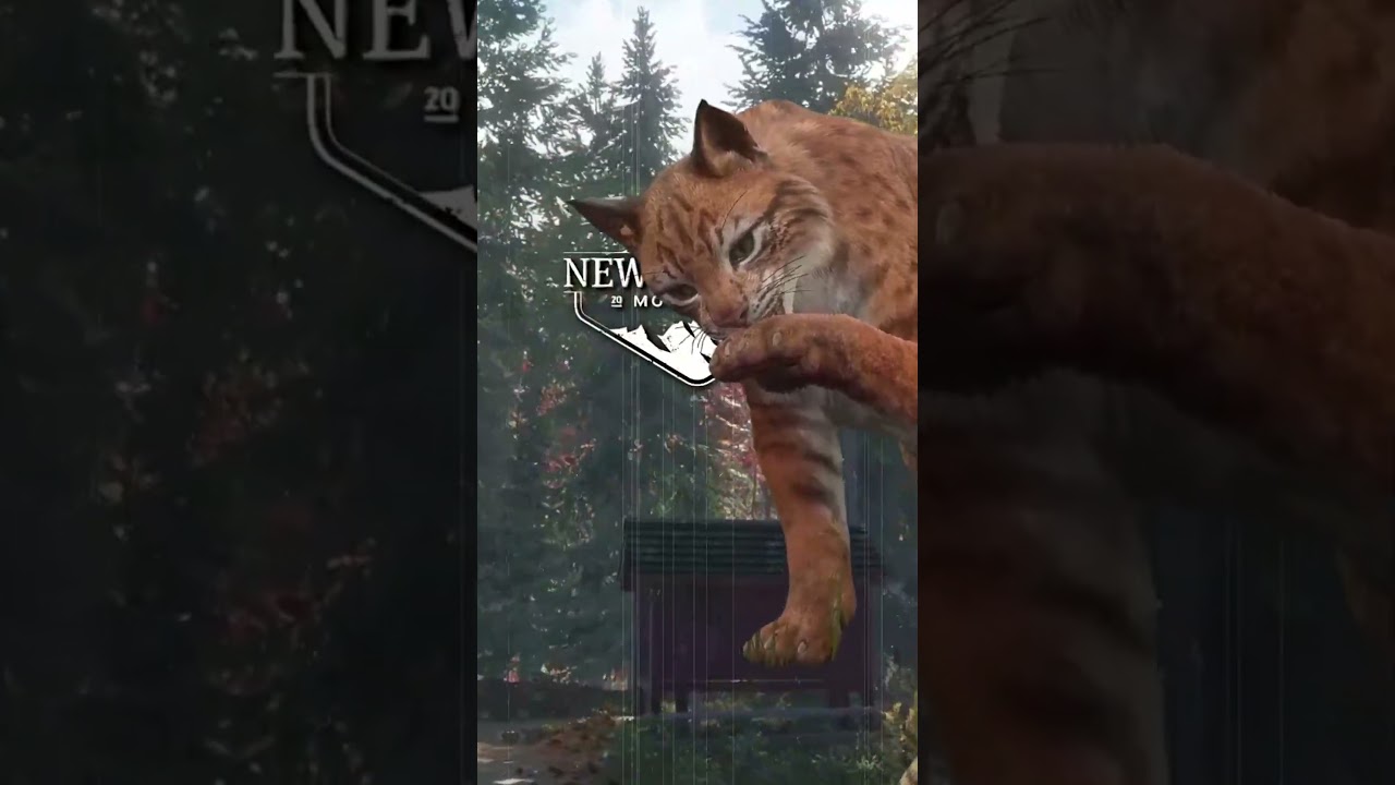 Мой худший кошмар в &laquo;Зове дикой природы&raquo;! 💭😼 #thehuntercotw #thehunter #cotw