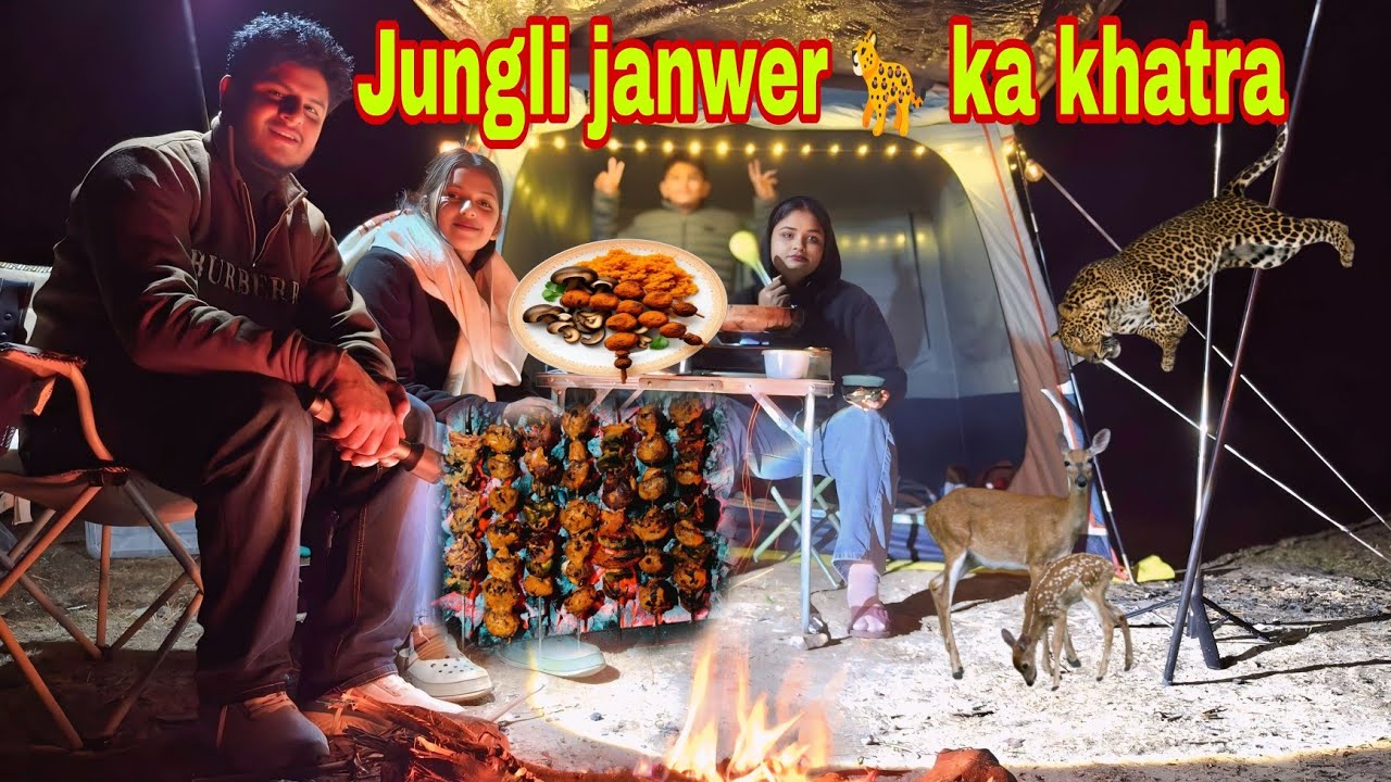 Night camping m jungli 🐅 janwer ka khatra | Camping in india | Uk06 Camping couple |