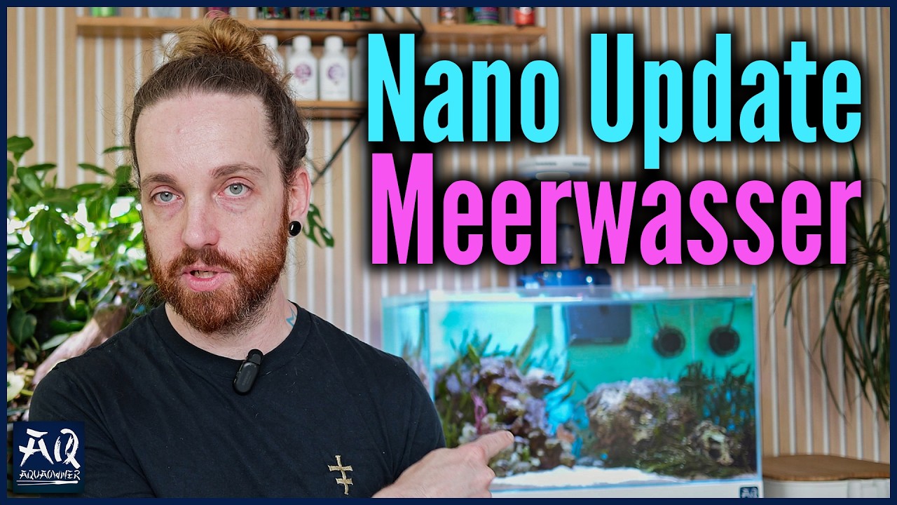 6 Monate Nano Meerwasser Aquarium Update | AquaOwner